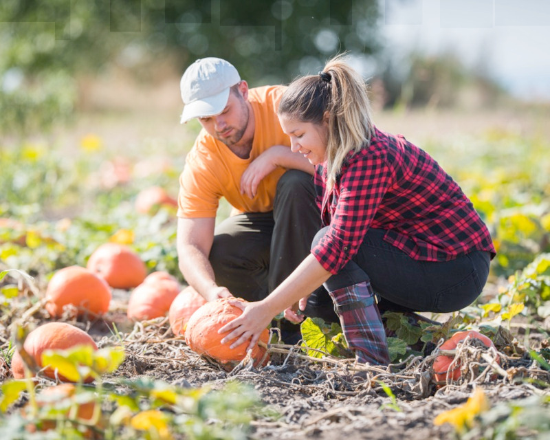 5 Fun Fall Fitness Ideas